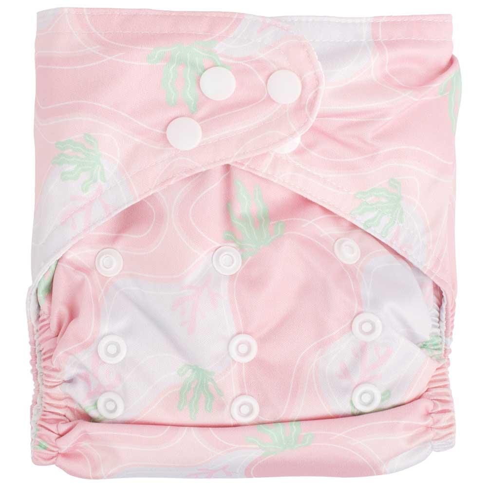 standard_resolution-243